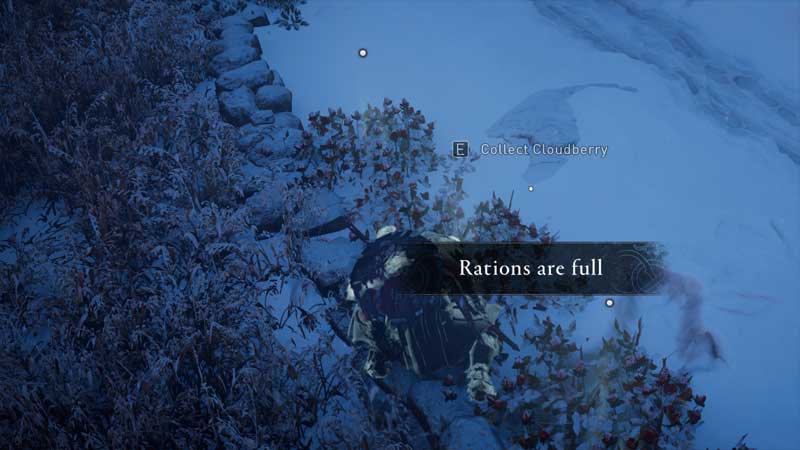 Assassins creed valhalla Ration guide