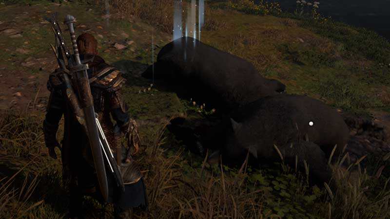 black-bear-fur-how-to-get