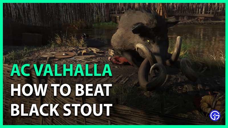 How To Defeat Black Stout In AC Valhalla Wrath Of The Druids DLC black stout legendary animal ac valhalla