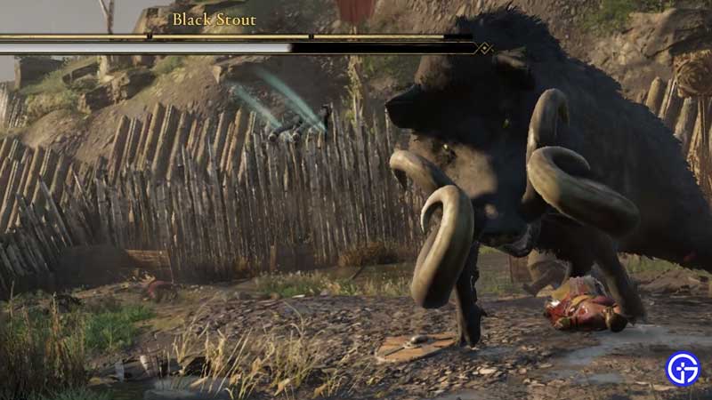 black stout wrath of the druids