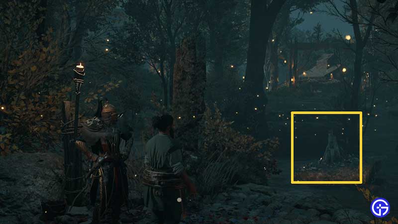 firepit location 1