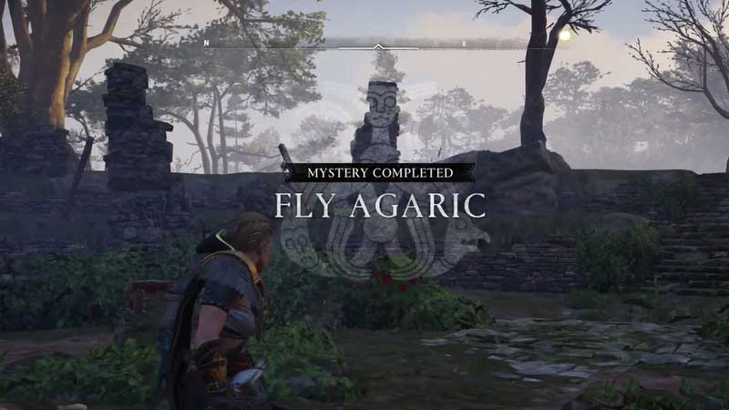 Fly Agaric Puzzle Solution Guide