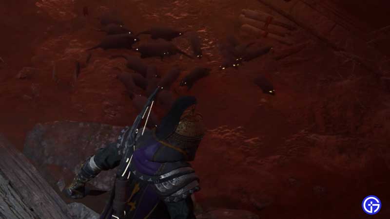 how to deal with rats in siege of paris assassins creed valhalla