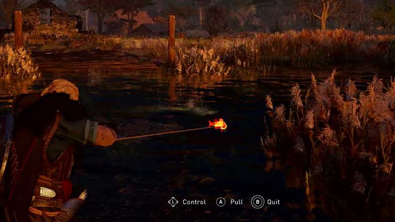 how-to-fish-ac-valhalla
