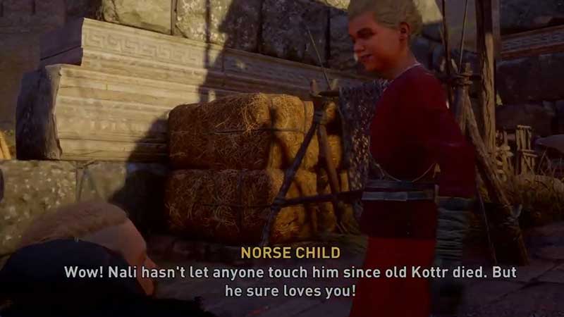 how-to-get-cat-pet-assassins-creed-valhalla