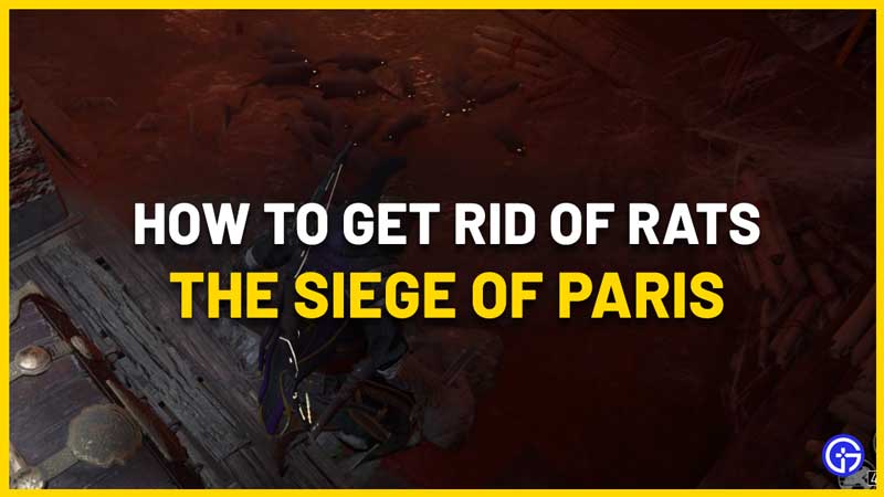 how to get rid of rat swarm in ac valhalla