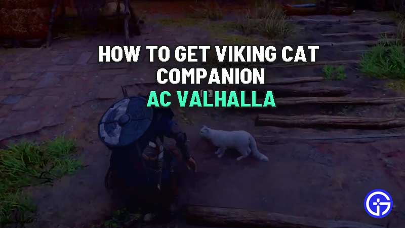AC Valhalla: How To Get Raider Cat Companion how-to-get-viking-cat-companion-ac-valhalla