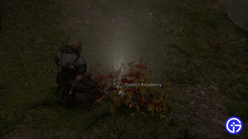 how-to-heal-ac-valhalla