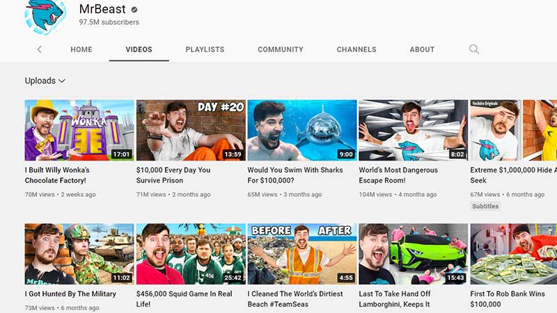 mrbeast net worth