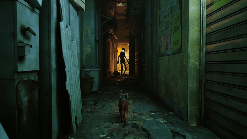 stray 